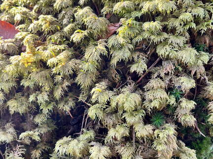 24-02-28 13-47-38 8781